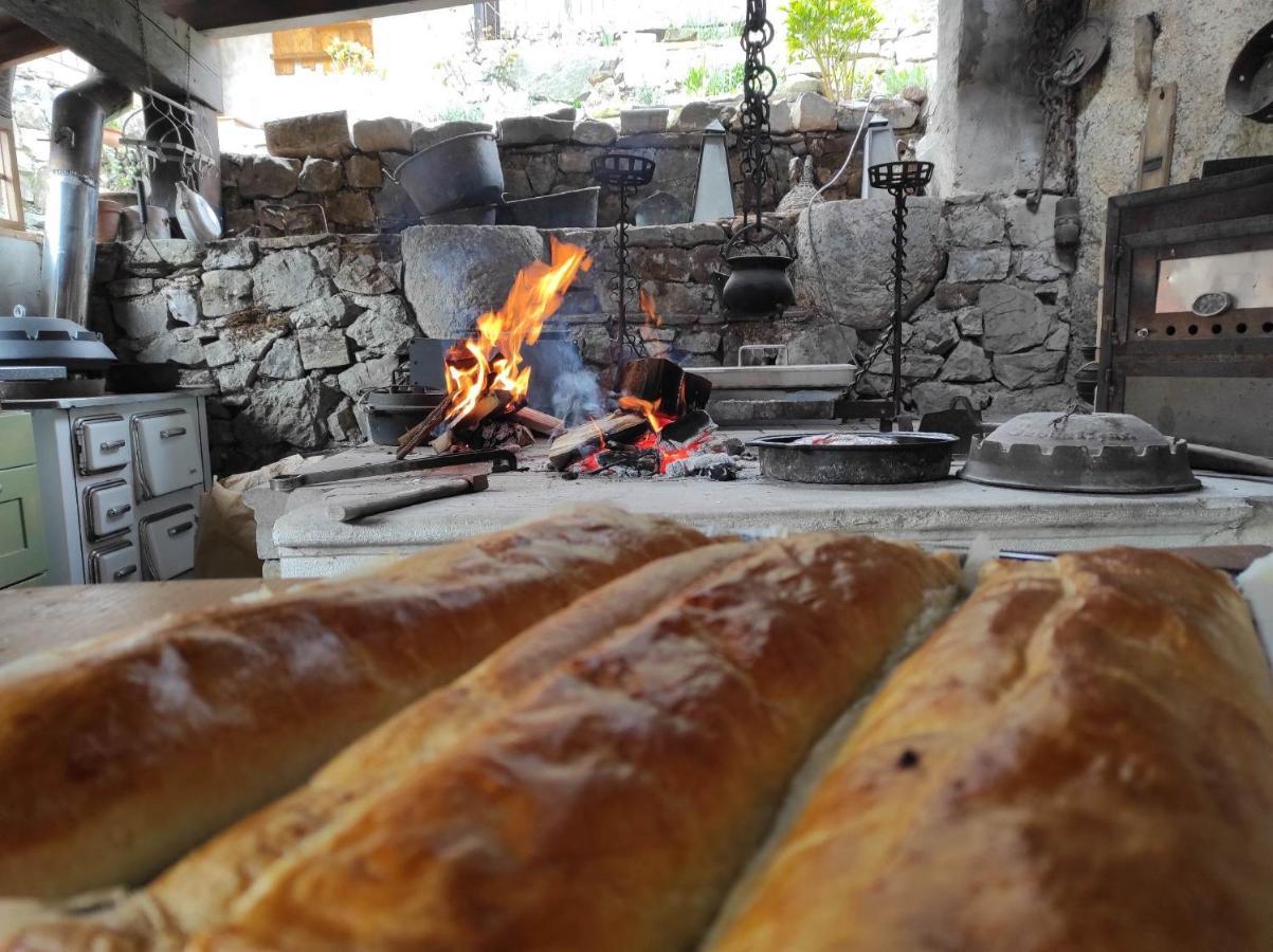 Toncevi Eco Estate Hotel Branik Bagian luar foto